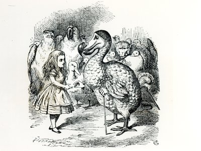 Alice trifft den Dodo, Illustration aus 